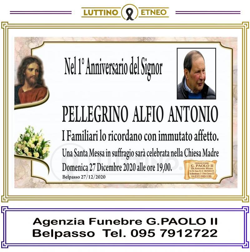 Alfio Antonio  Pellegrino 